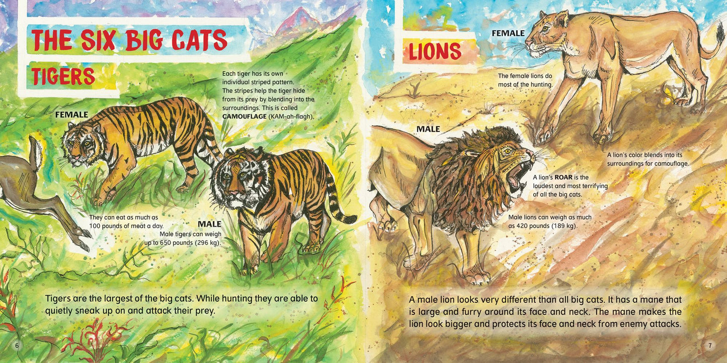 Big Cats
