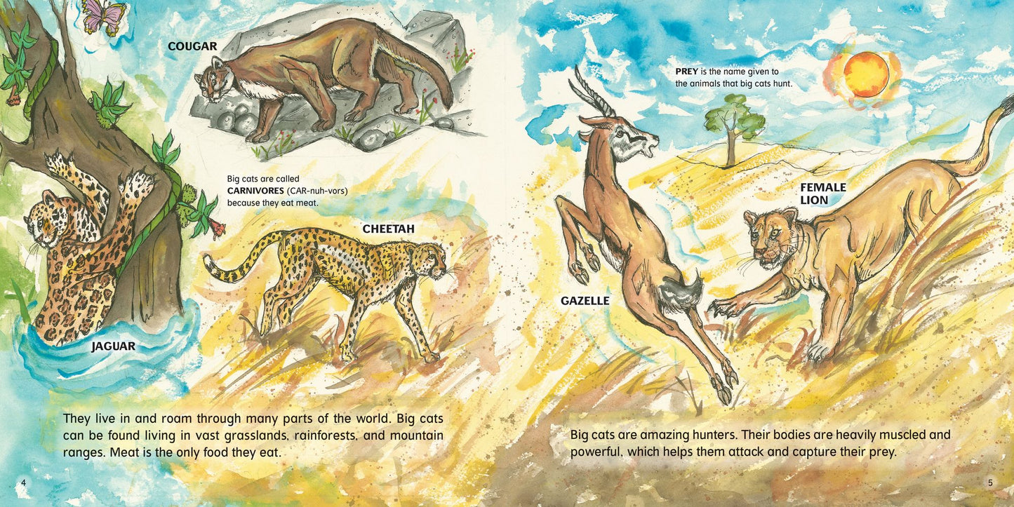Big Cats