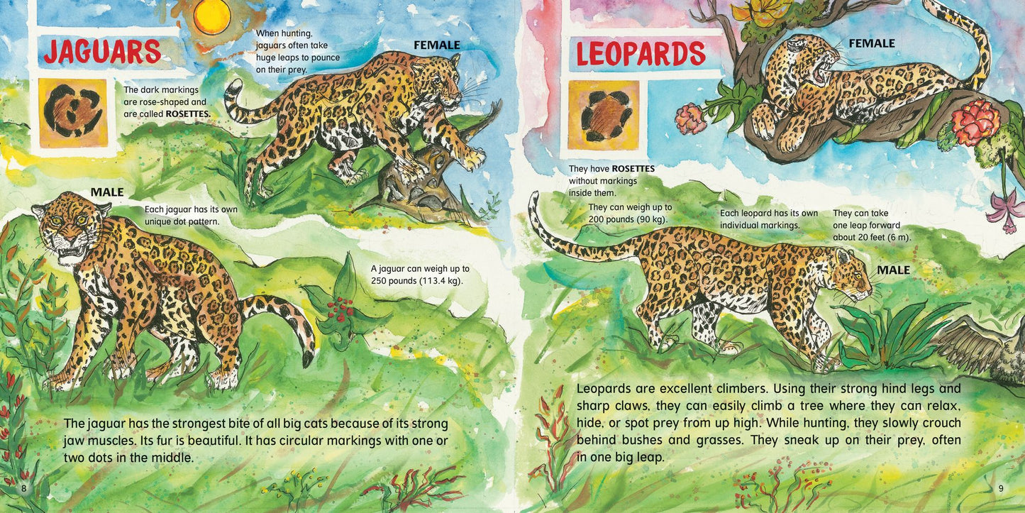 Big Cats