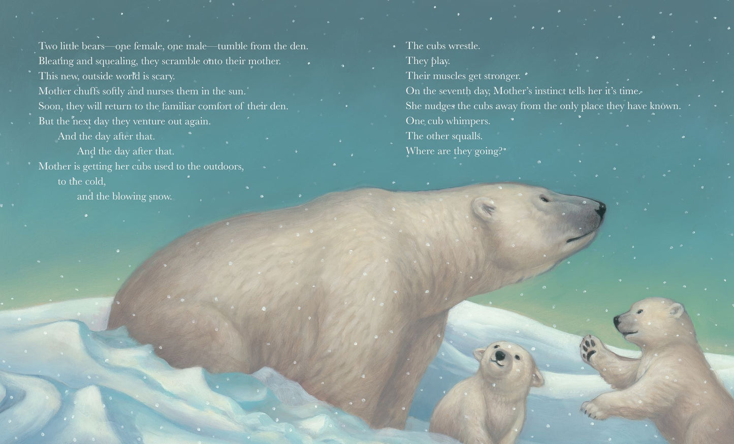 Polar Bear
