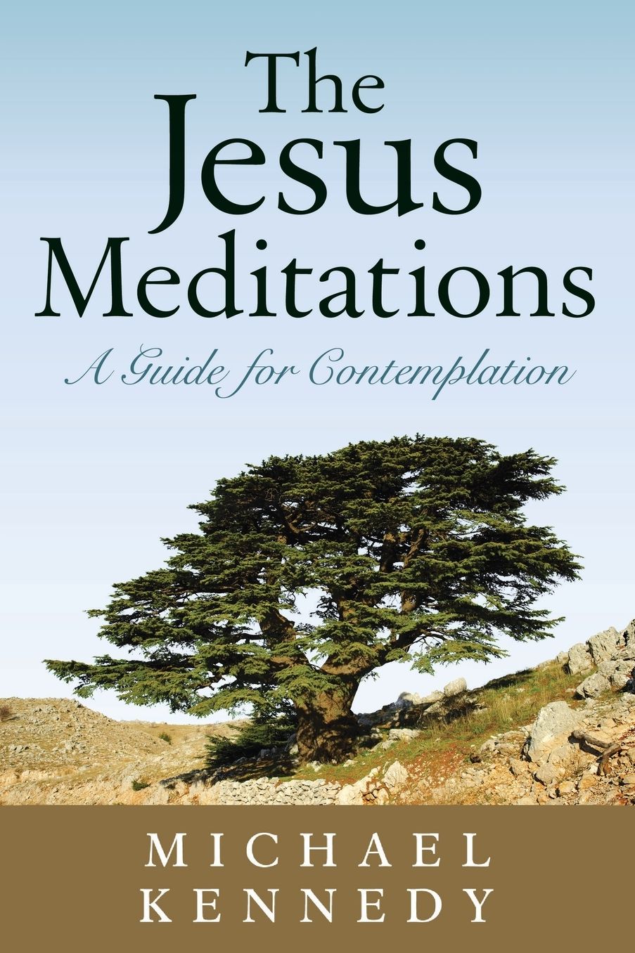 Jesus Meditations: A Guide for Comtemplation