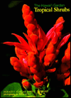 Tropical Shrubs
