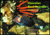Hawaiian Reef Animals