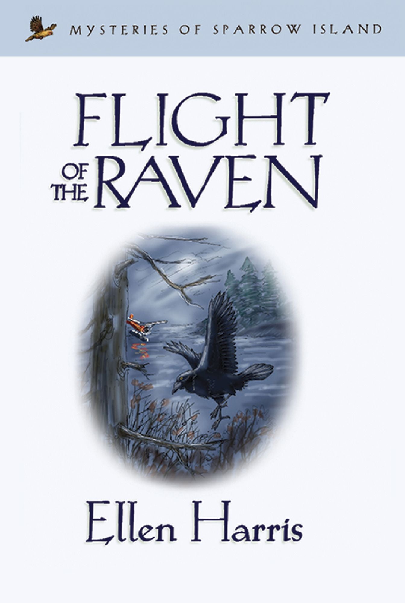 Flight of the Raven