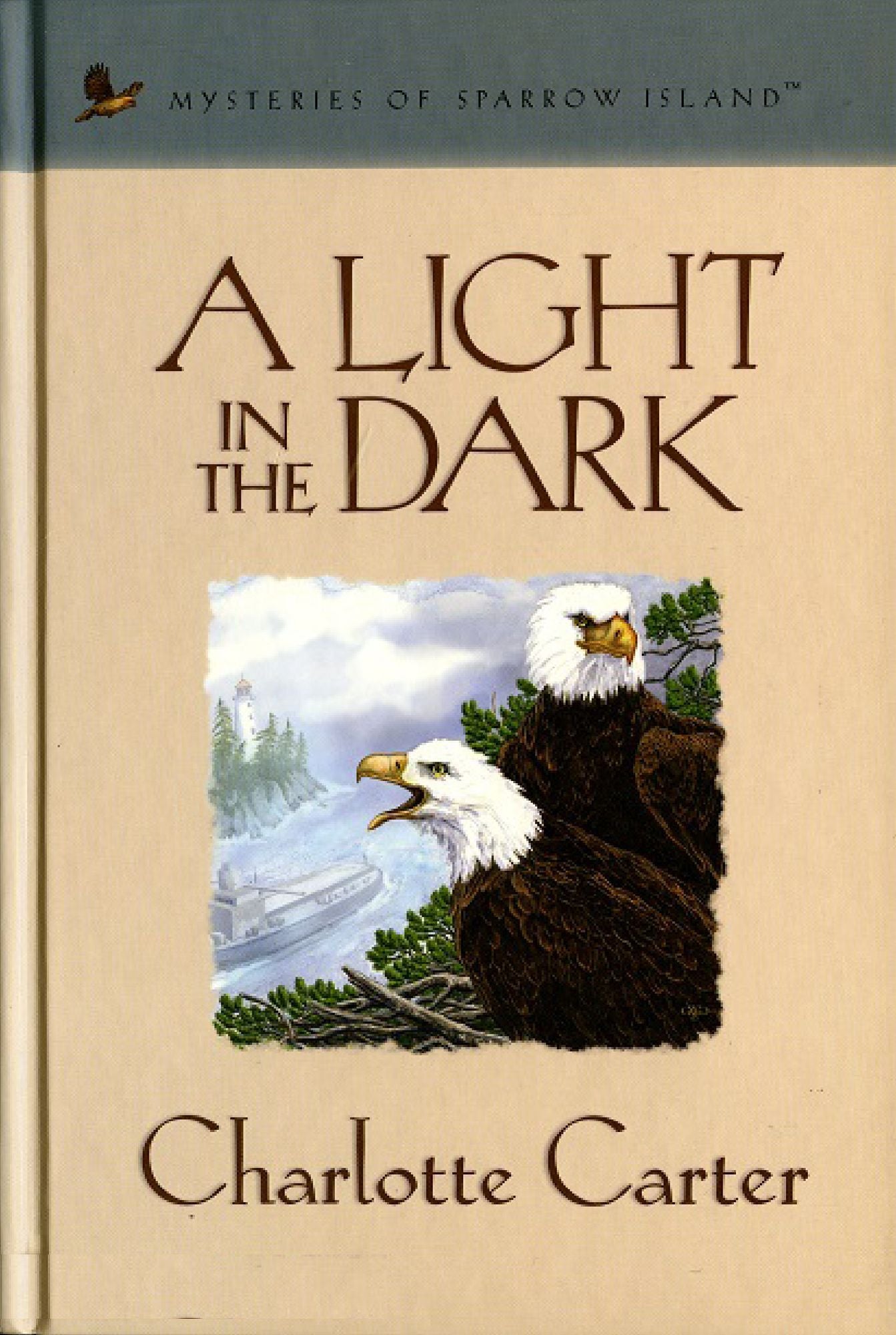 A Light in the Dark