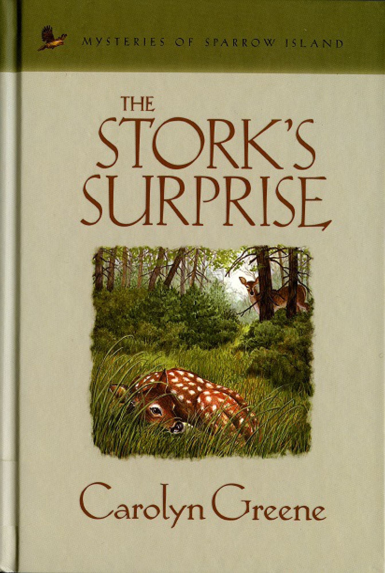The Stork's Surprise
