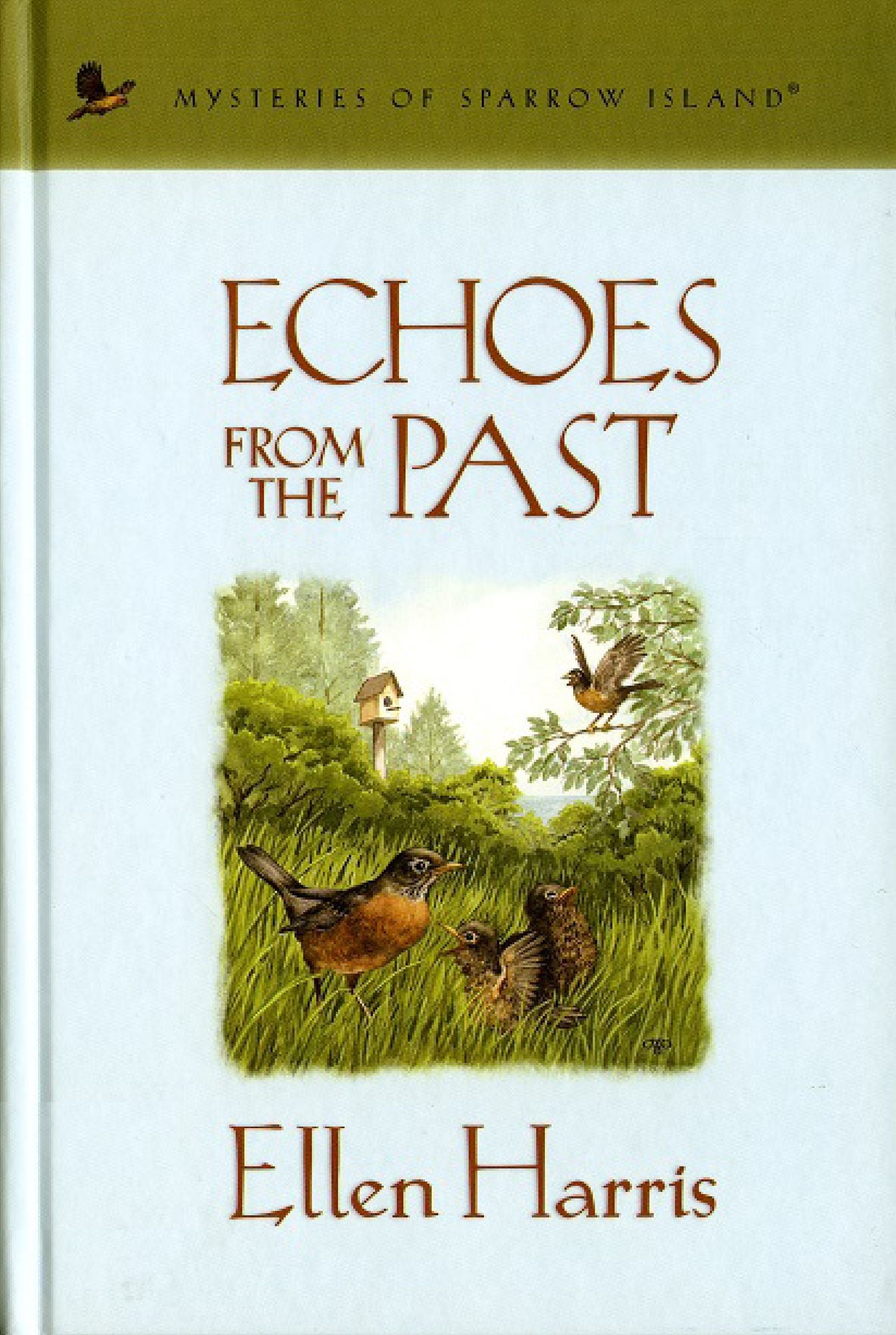 Echoes from the Past