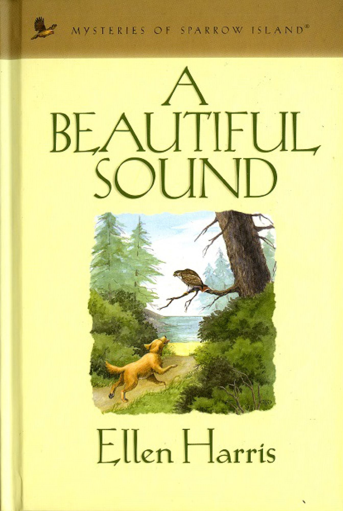 A Beautiful Sound