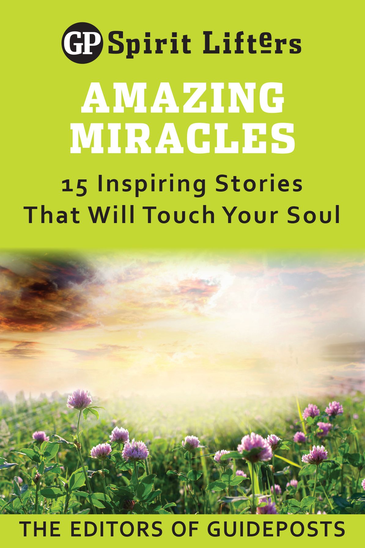Amazing Miracles: 15 Inspiring Stories That Will Touch Your Soul