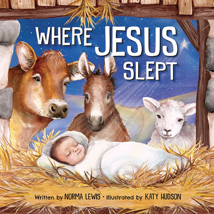 Where Jesus Slept (Large Print -- QA test)
