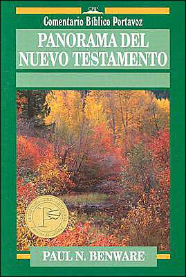 Panorama del Nuevo Testamento