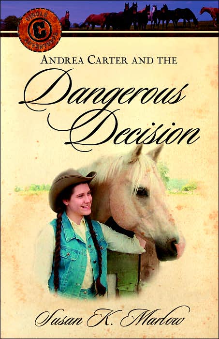 Andrea Carter and the Dangerous Decision: A Novel
