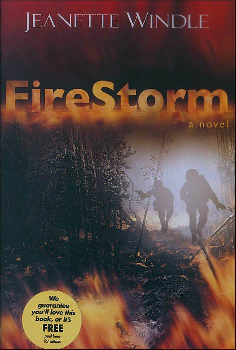 FireStorm: A Novel