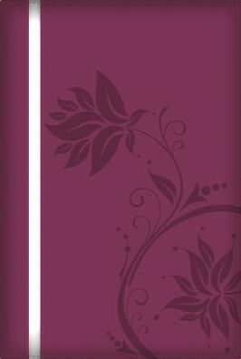 A Woman After God's Own Heart Bible