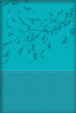 Biblia de la mujer conforme al corazon de Dios: Duotono Aqua