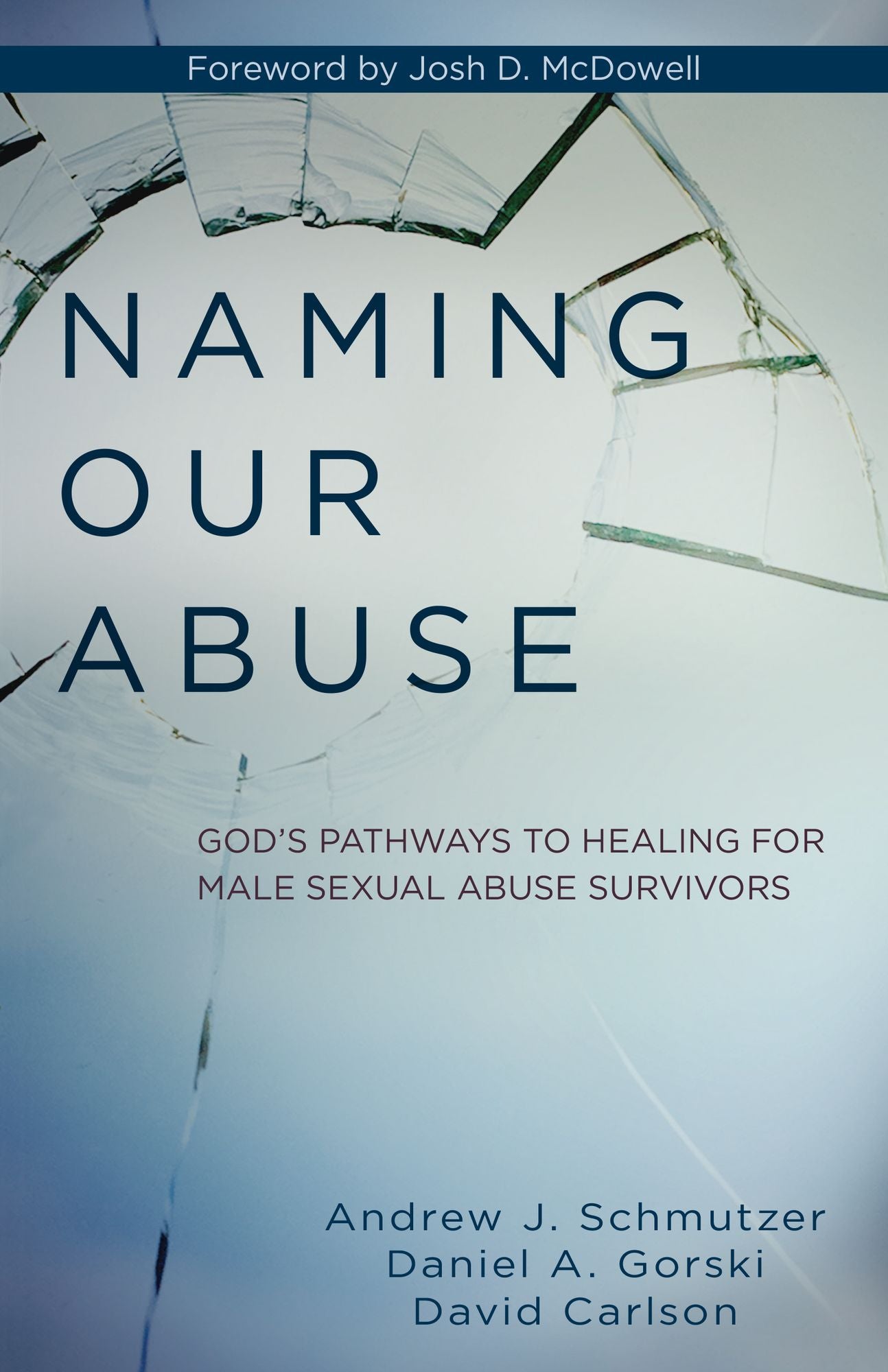Naming Our Abuse: God's Pathways to Healing for Male Sexual Abuse Survivors
