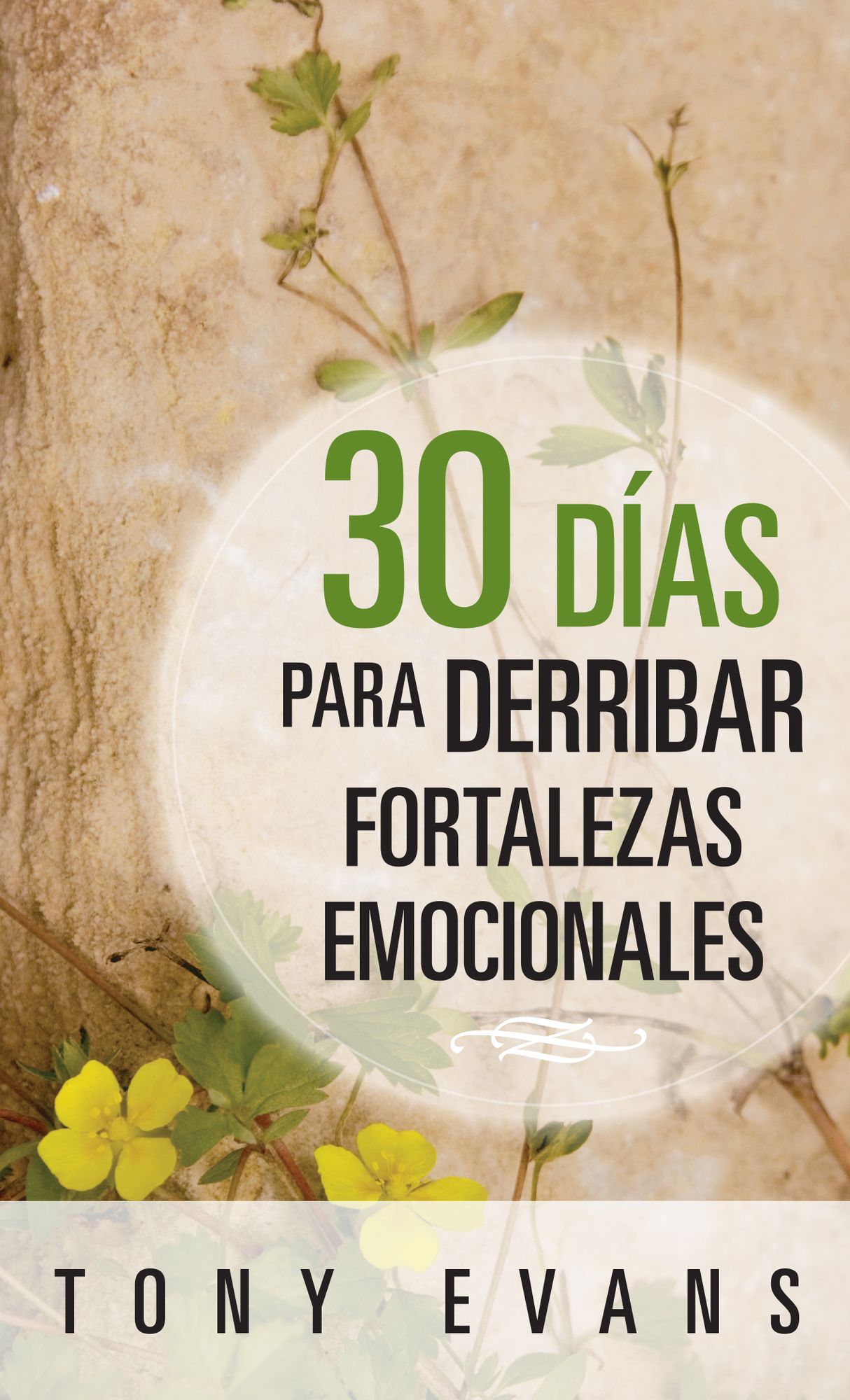 30 días para derribar fortalezas emocionales