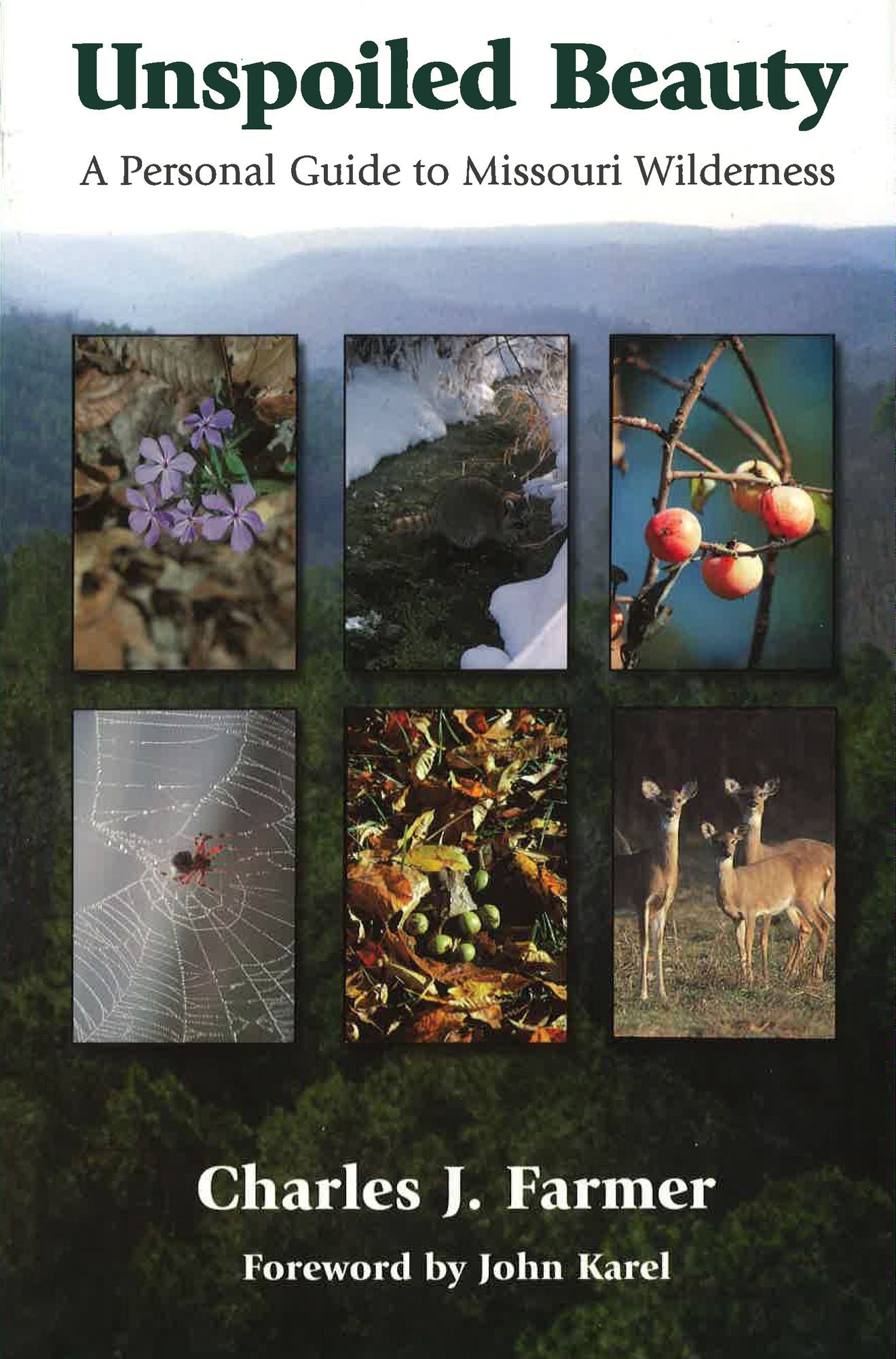 Unspoiled Beauty: A Personal Guide to Missouri Wilderness