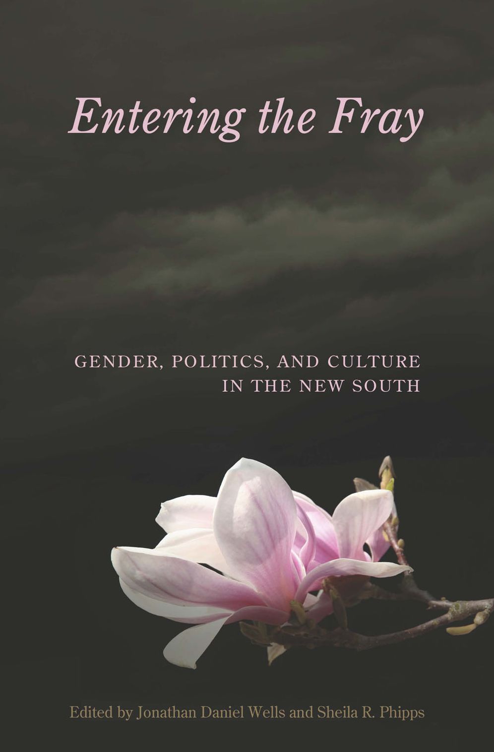 Entering the Fray: Gender, Politics, and Culture in the New South
