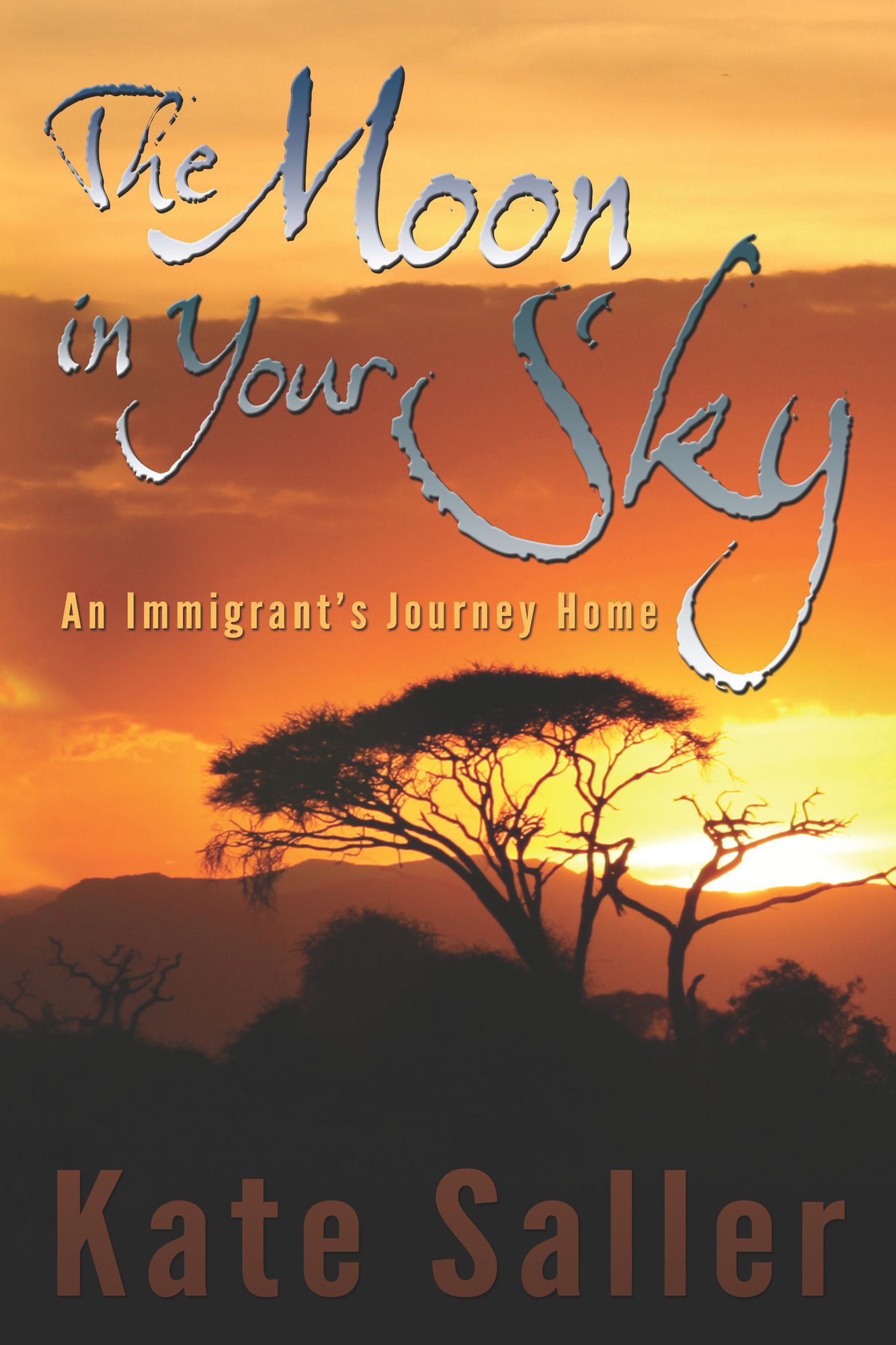 The Moon in Your Sky: An Immigrant's Journey Home