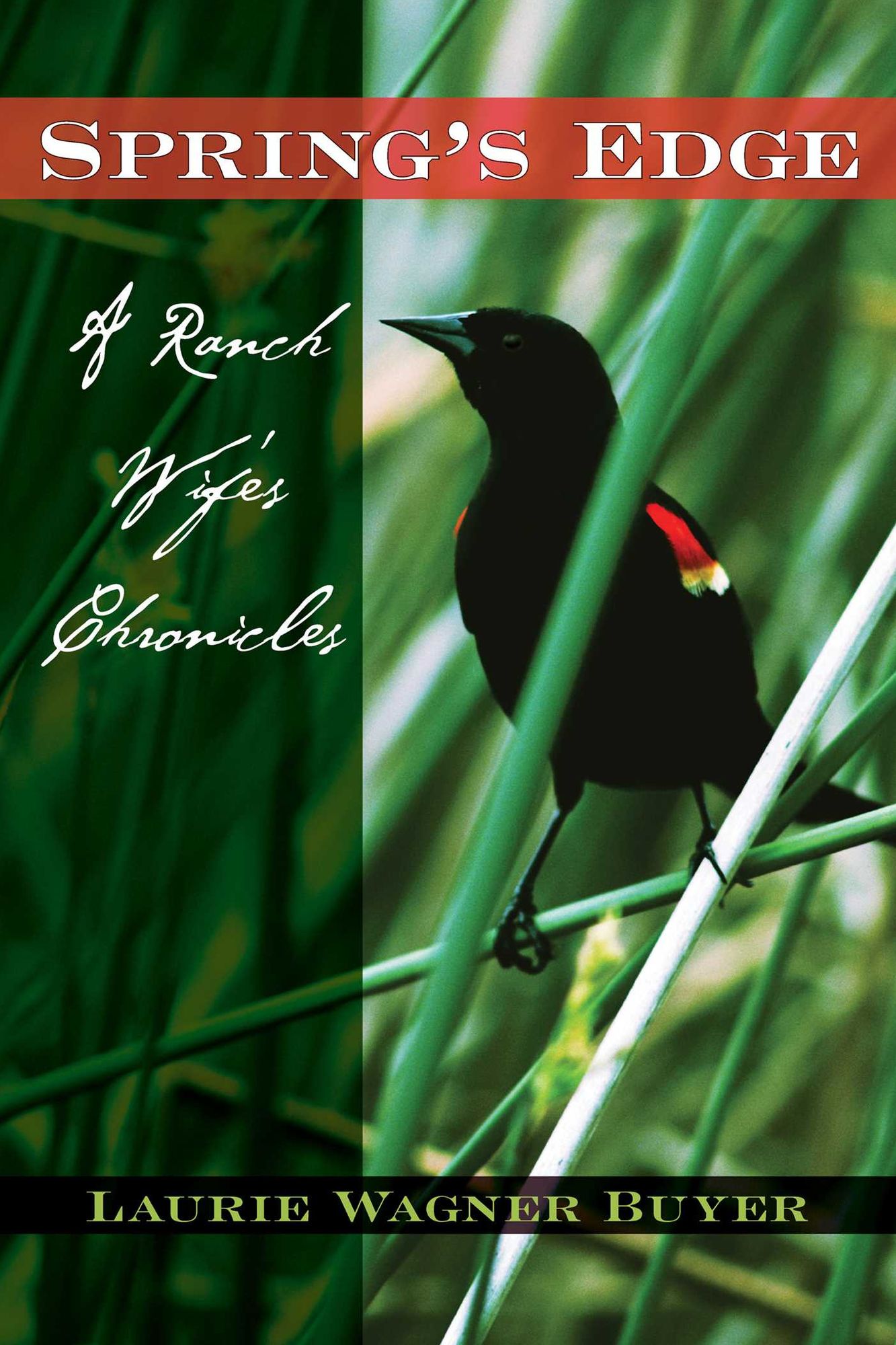 Spring's Edge: A Ranch Wife's Chronicles