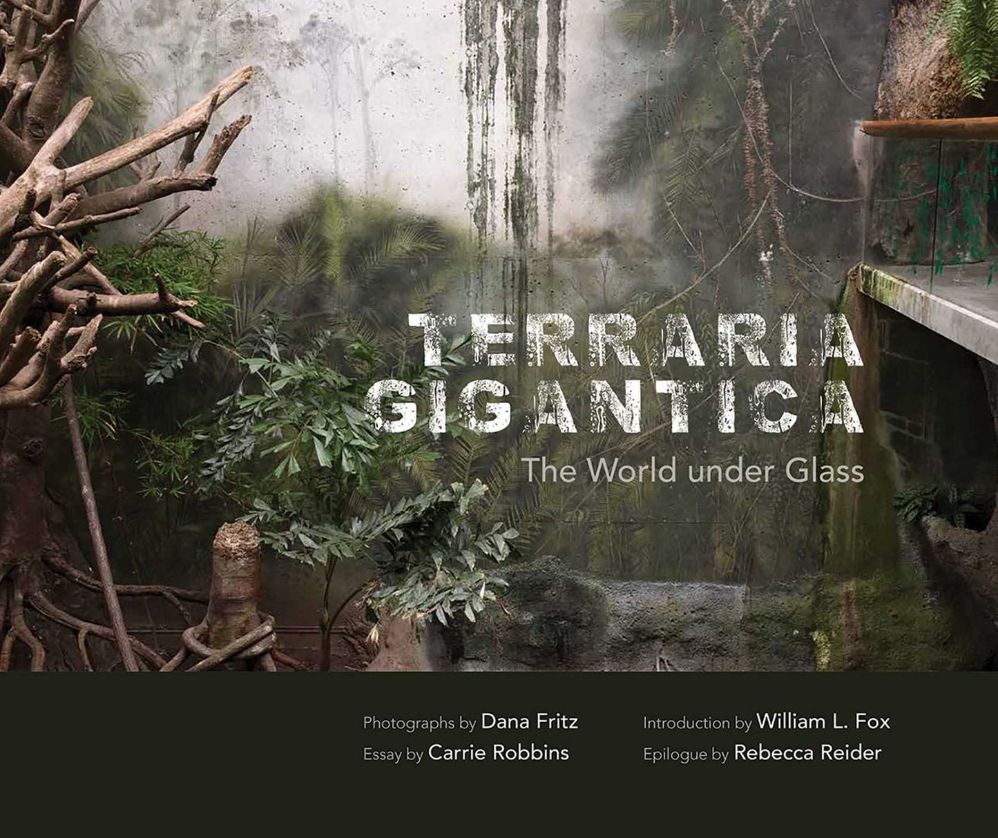 Terraria Gigantica: The World under Glass