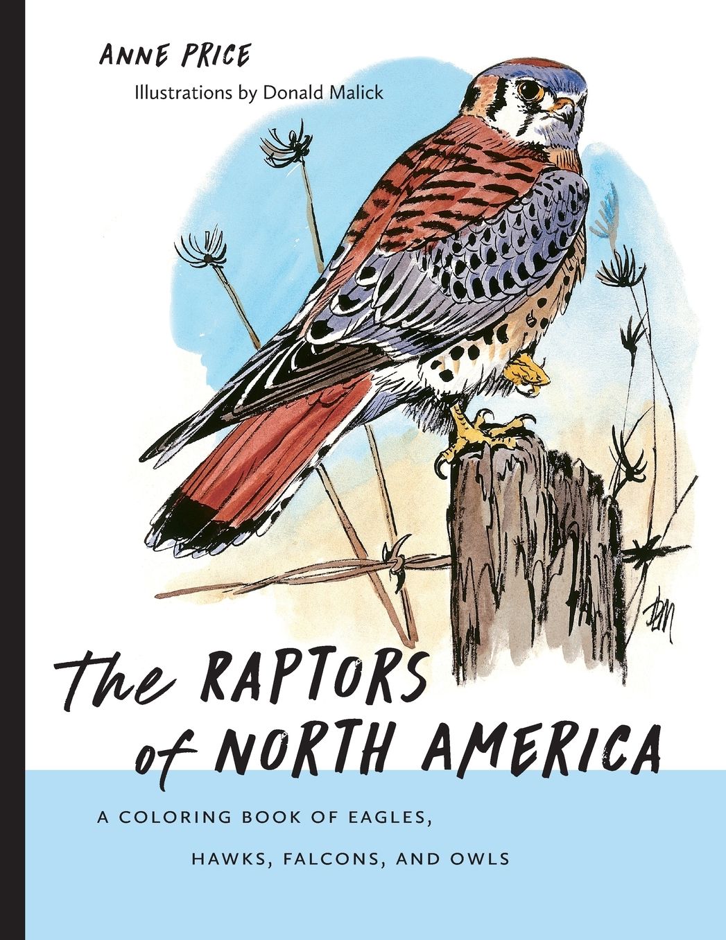 The Raptors of North America: A Coloring Book of Eagles, Hawks, Falcons, and Owls