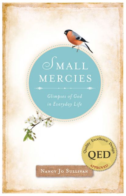 Small Mercies: Glimpses of God in Everyday Life