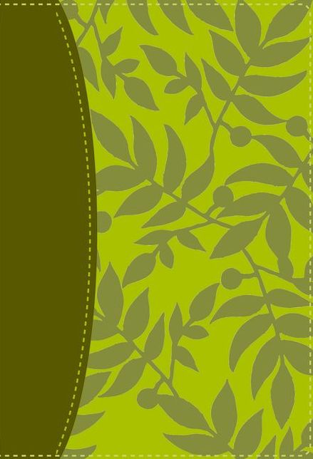 RVR 1960 Santa Biblia Serie 50