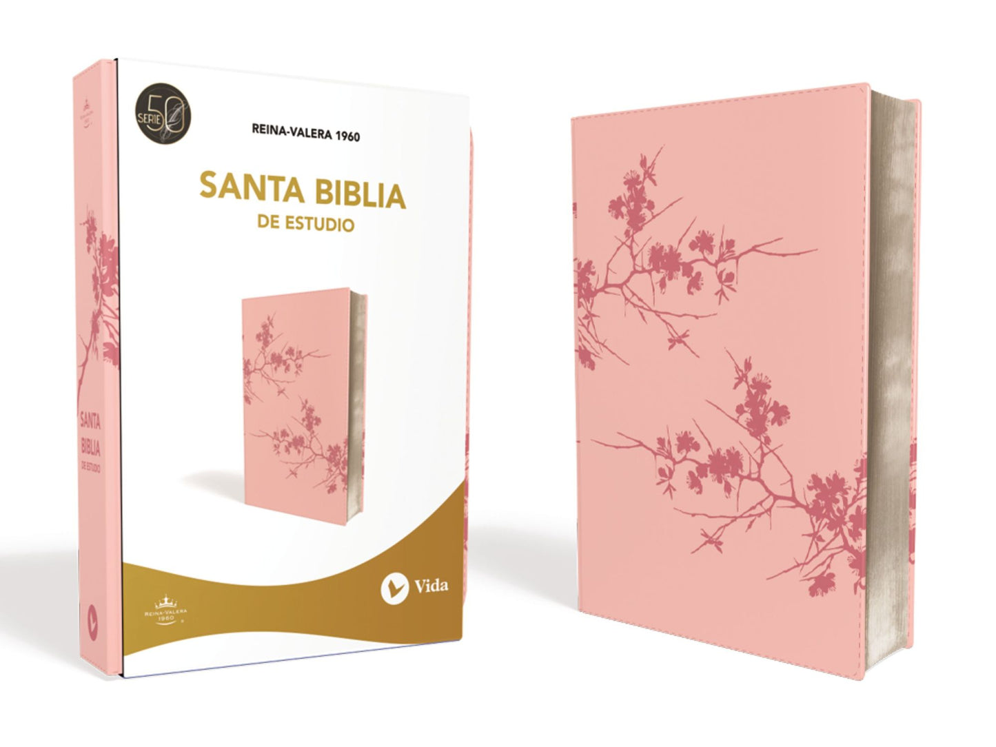 RVR 1960 Santa Biblia Serie 50