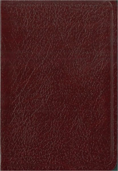 NVI Biblia de Bolsillo: Nueva Version Internacional, piel imitacion vino (Pocket Bible)