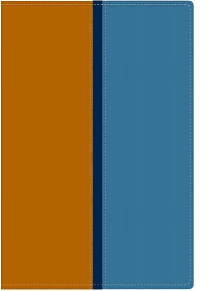 Rvr60/Nvi Biblia Paralela Dos Tonos