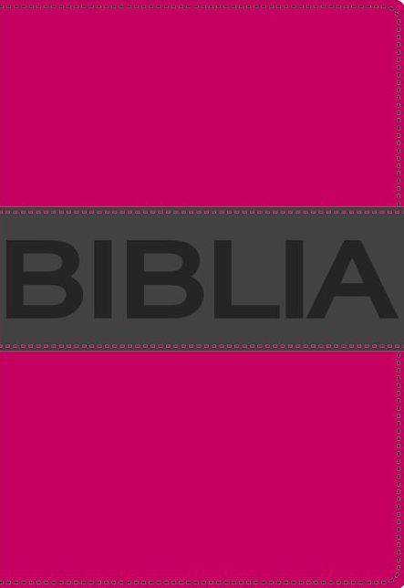 NVI Santa Biblia, ultrafina compacta, colleccion contempo