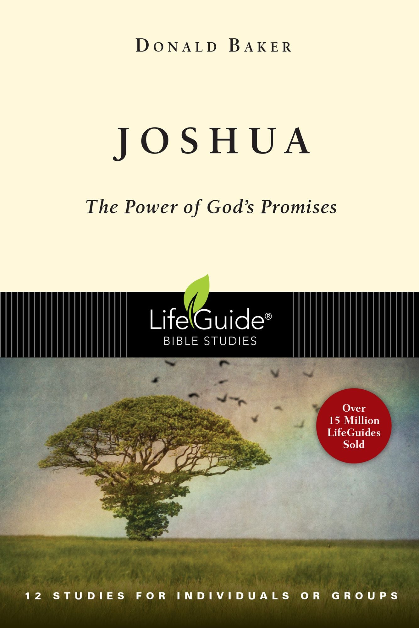 Joshua: The Power of God's Promises