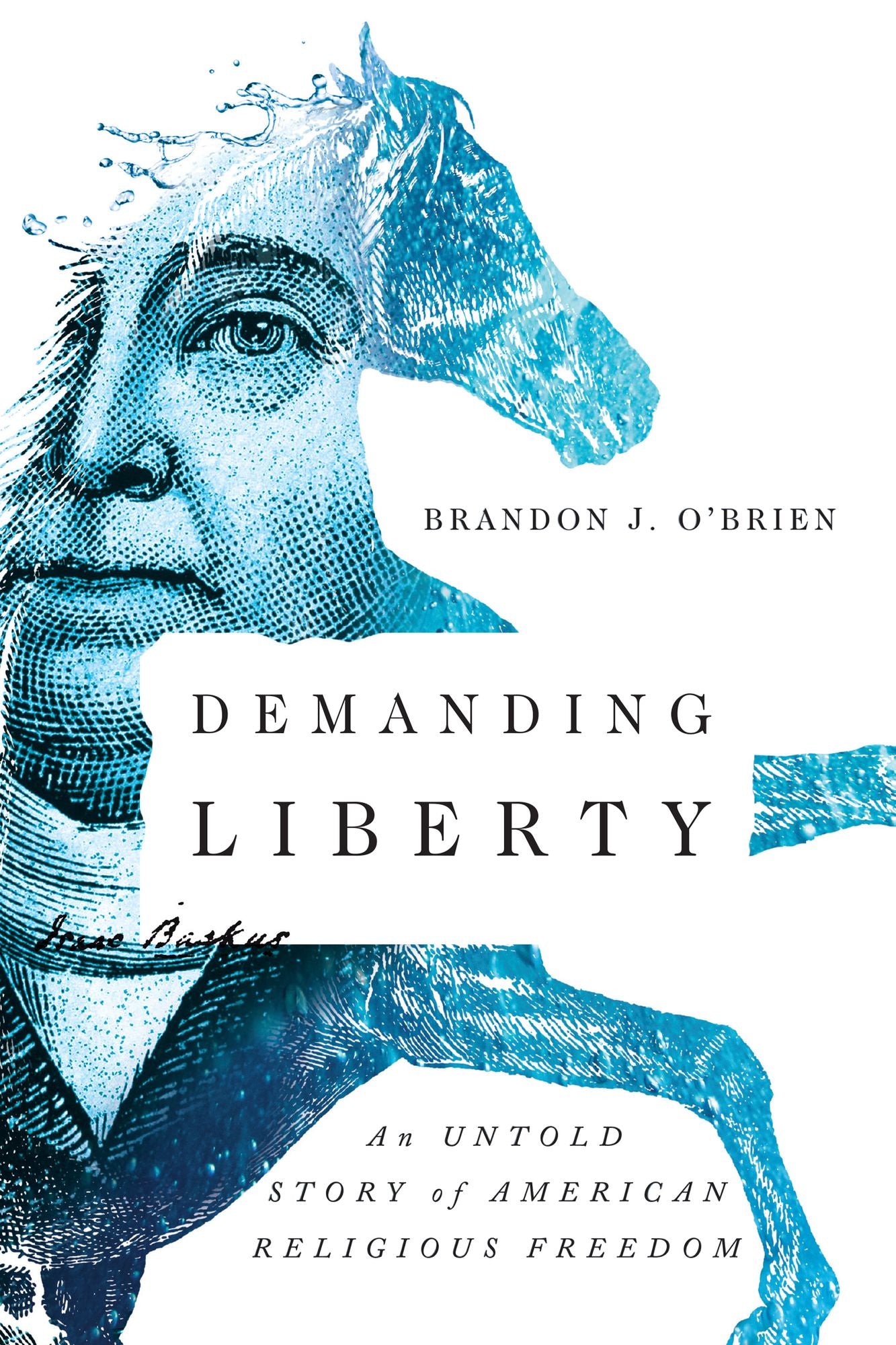 Demanding Liberty: An Untold Story of American R