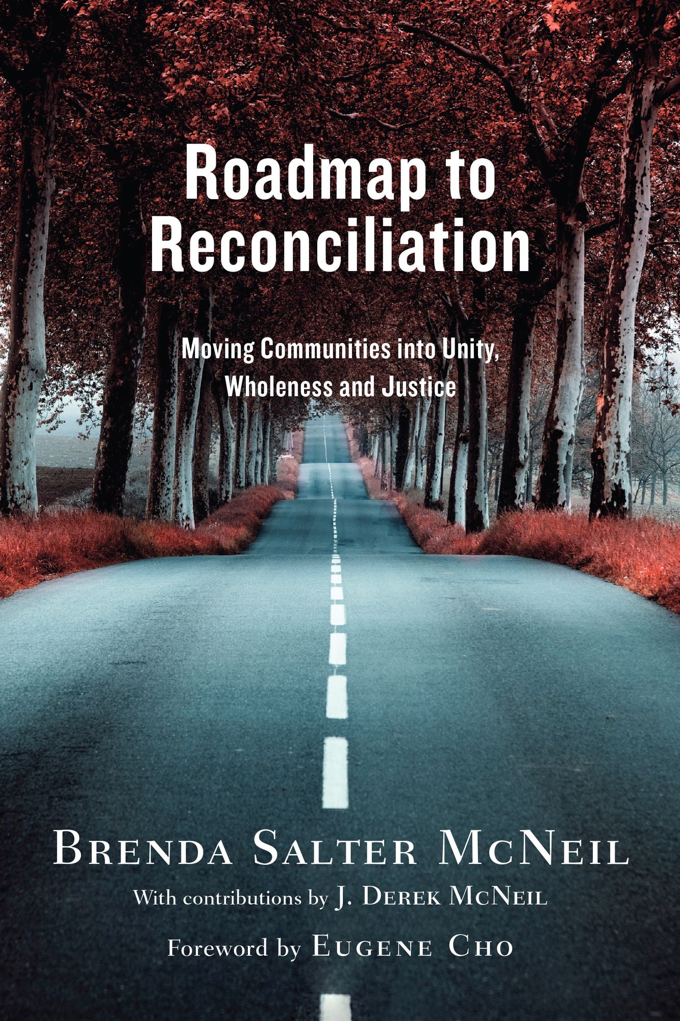 Roadmap to Reconciliation: Moving Communities into Unity, Wholeness and Justice