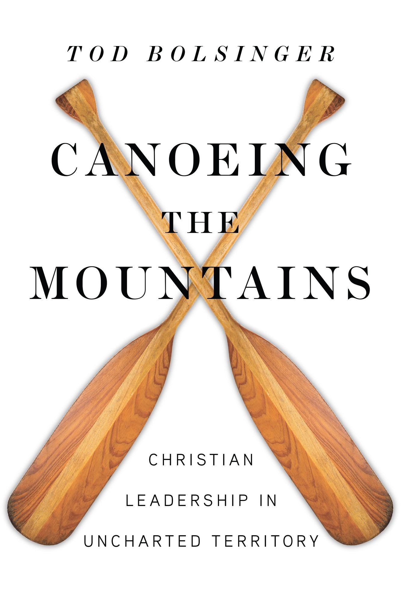 Canoeing the Mountains: Christian Leadership in Uncharted Territory