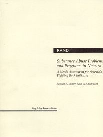 Substance Abuse Problems and Programs in Newark: A Needs Assessment for Newark's Fighting Back Initiative