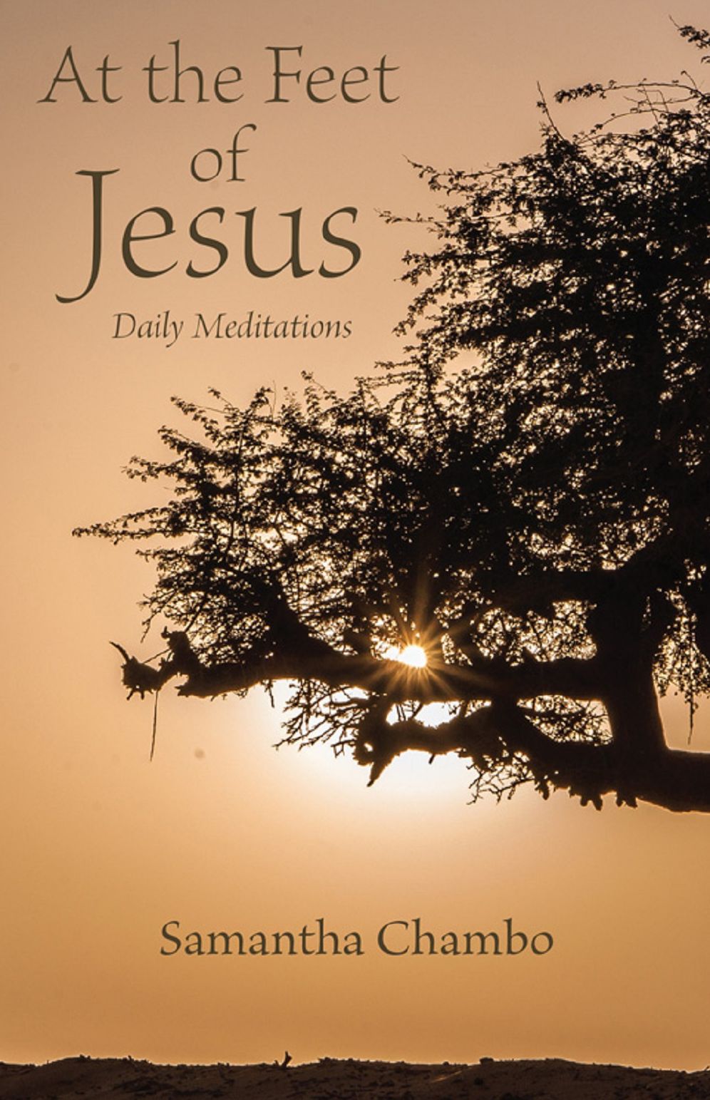 At the Feet of Jesus: Daily Meditations