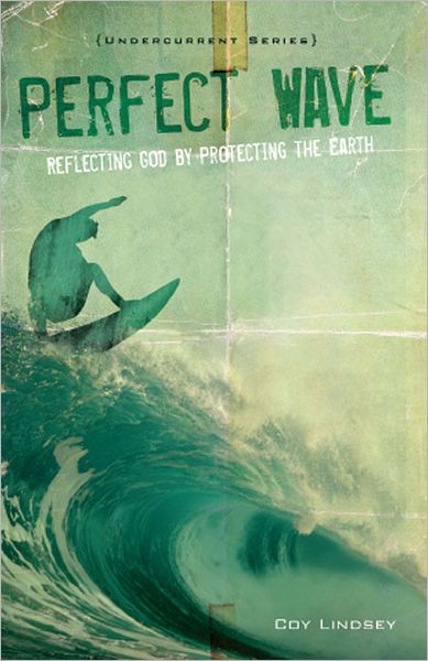 Perfect Wave: Reflecting God by Protecting the Earth
