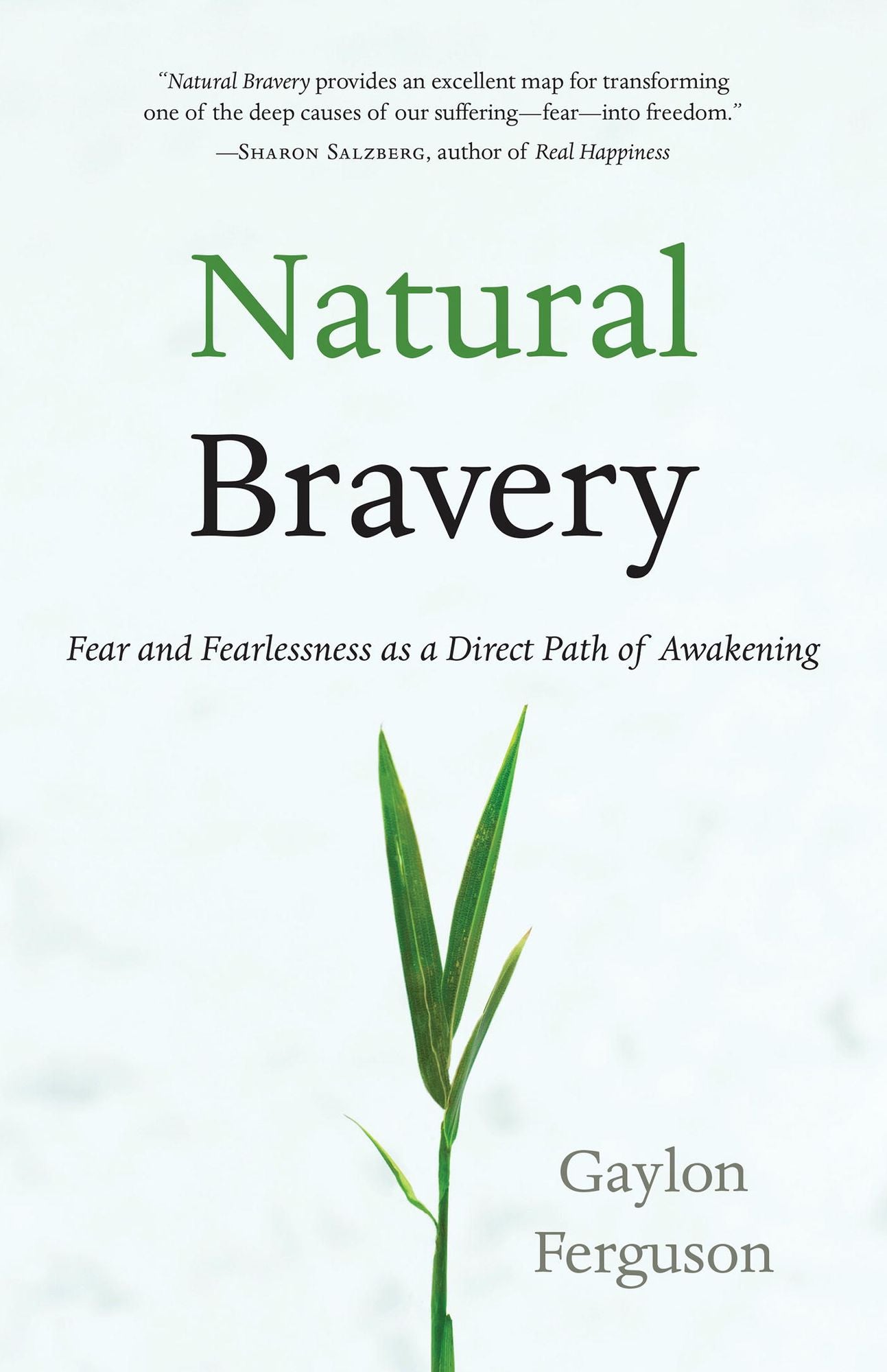 Natural Bravery: Fear and Fearlessness as a Direct Path of Awakening