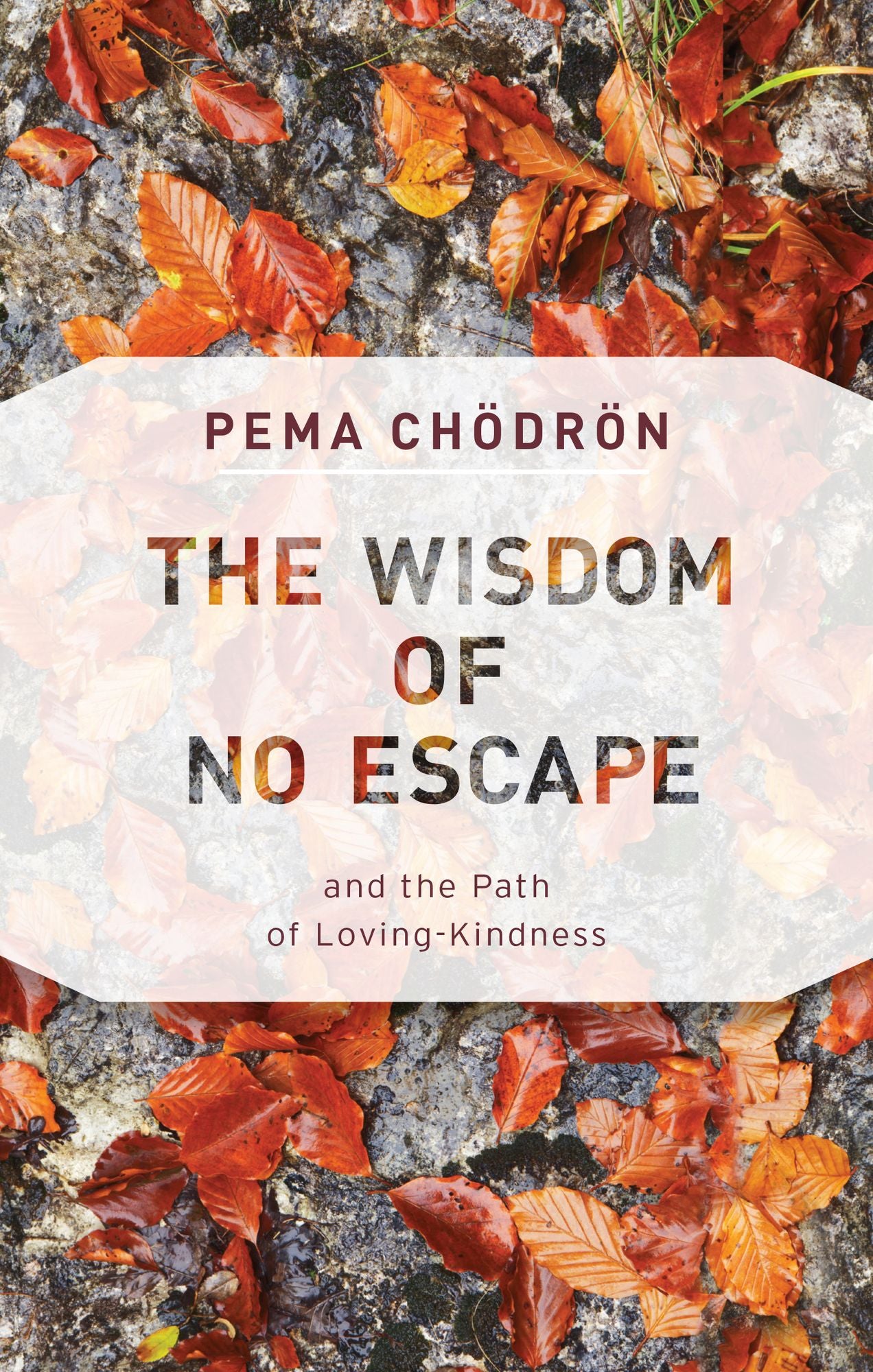 The Wisdom of No Escape: And the Path of Loving Kindness