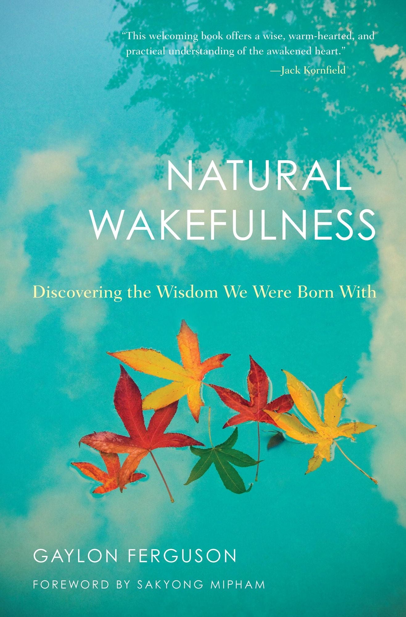 Natural Wakefulness: Discovering the Wisdom We Were Born With