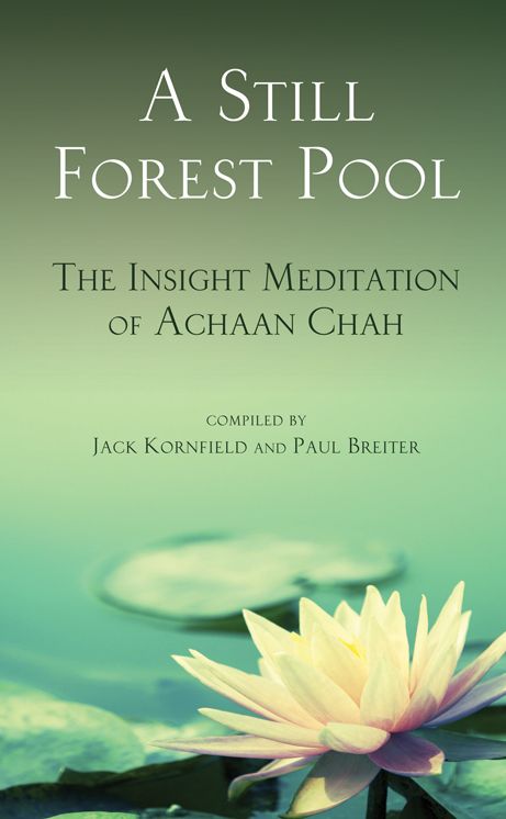 Still Forest Pool: The Insight Meditation of Achann Chah