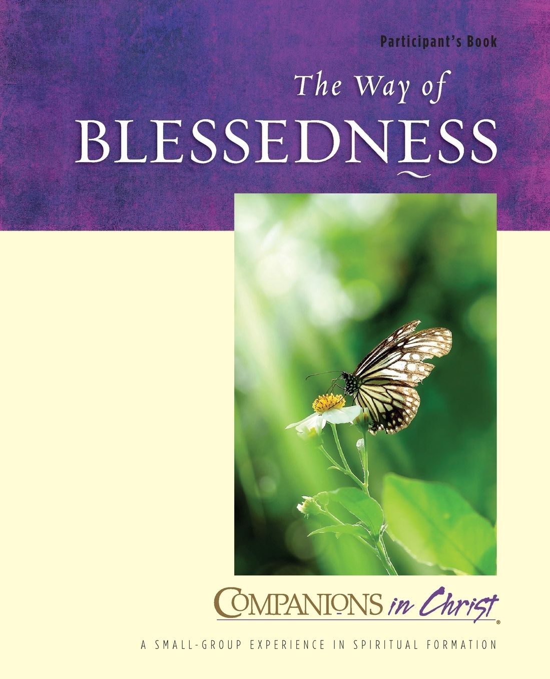 Companions in Christ: The Way of Blessedness Participant's Book