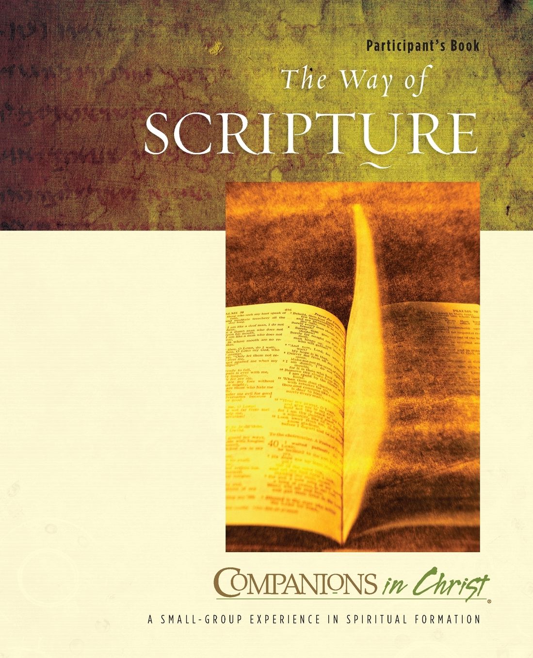 The Way of Scripture: Participant's Book