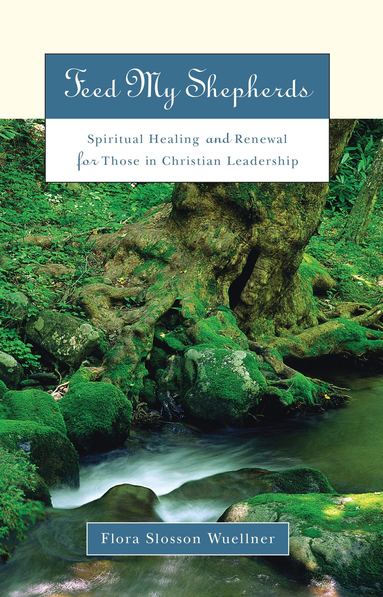 Feed My Shepherds: Spiritual Healing and Renewal for Those in Christian Leadership