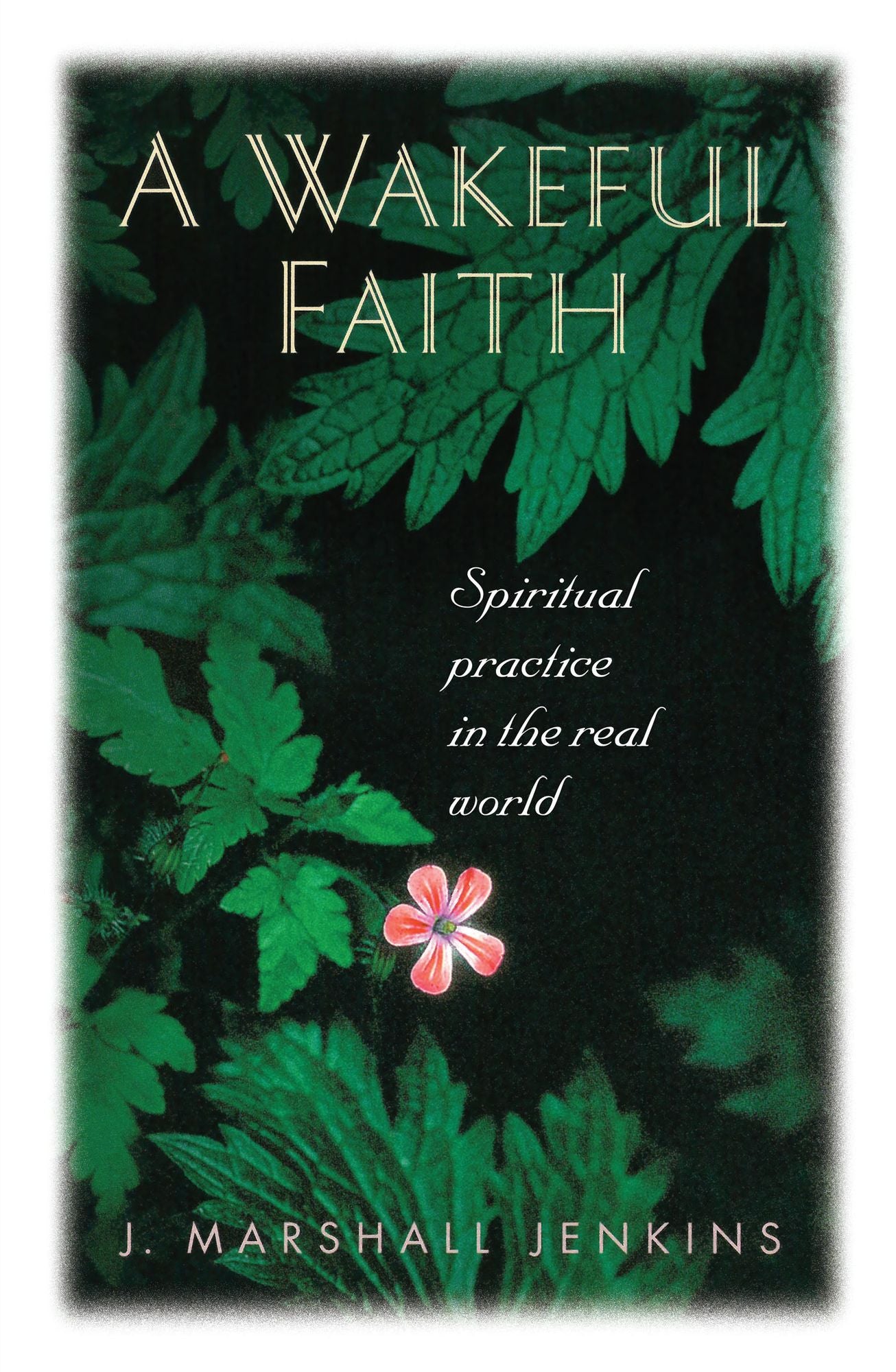 A Wakeful Faith: Spiritual Practice in the Real World