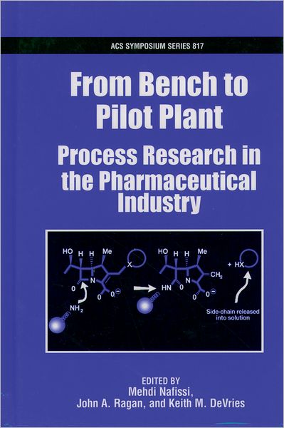 From Bench to Pilot Plant: Process Research in the Pharmaceutical Industry