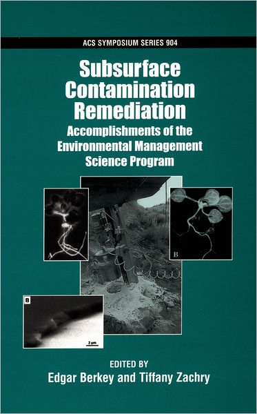 Subsurface Contamination Remediation: Accomplishments of the Environmental Management Science Program